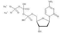 2'-Deoxycytidine 5'-Triphosphate Disodium Salt