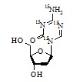 5-Aza-2'-deoxy cytidine-15N4