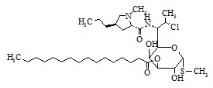 克林霉素3-棕榈酸酯标准品
