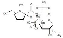 克林霉素磷酸酯EP杂质D标准品