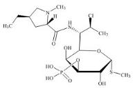 克林霉素B 3-磷酸标准品
