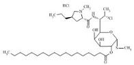 Clindamycin Stearate HCl