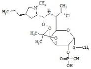 Isopropylidene Clindamycin Phosphate