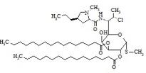 克林霉素2,3-二棕榈酸酯标准品