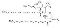 克林霉素2,4-二棕榈酸酯标准品