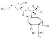 克林霉素磷酸酯杂质2标准品