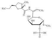 克林霉素磷酸酯杂质4标准品