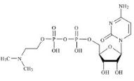 Cytidine Diphosphate N,N-Dimethyl-Ethanolamine