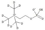 胆碱磷酸-d9标准品