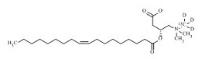 Oleoyl-L-Carnitine-13C-d3标准品