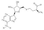 S-腺苷-L-高半胱氨酸-15N4标准品