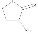 D-Homocysteine Thiolactone标准品