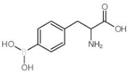4-硼基-DL-苯丙氨酸标准品