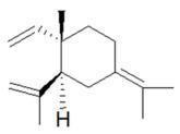 δ-榄香烯对照品