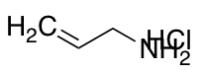 Prop-2-en-1-amine Hydrochloride
