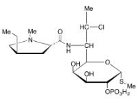 克林霉素B 2-磷酸酯标准品