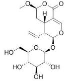 表断马钱子甙半缩醛内酯