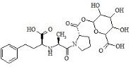 Enalaprilat Acyl Glucuronide