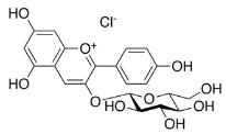 天竺葵-3-葡萄糖苷标准品