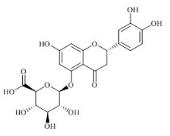 圣草酚-5-O-葡糖苷酸标准品