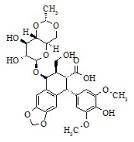 Etoposide Hydroxy Acid