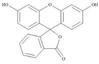 荧光素标准品