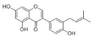 异戊二烯酮对照品