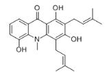 N-Methylatalaphylline对照品