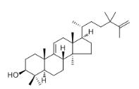 24,24-Dimethyl-5α-lanosta-9(11),25-dien-3β-ol