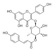 4''-O-反-对-香豆酰基黄酮对照品
