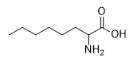 DL-2-氨基正辛酸对照品