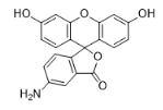 5-氨基荧光素对照品