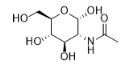 N-乙酰氨基葡萄糖对照品