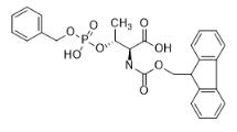 Fmoc-O-(benzylphospho)-L-threonine