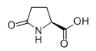 L-焦谷氨酸对照品
