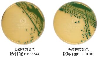阪崎肠杆菌显色平板9cm