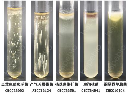 硫乙醇酸盐流体培养基管