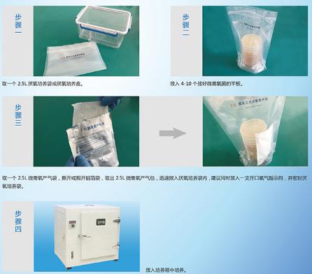 2.5L圆底立式厌氧培养袋