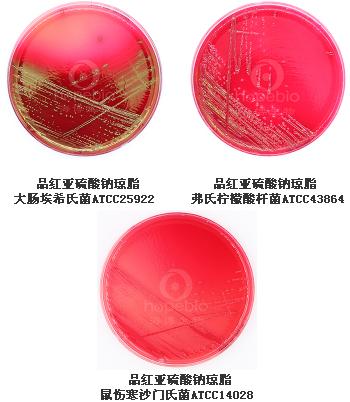 品红亚硫酸钠琼脂