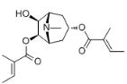 3α,6β-Ditigloyloxytropan-7β-ol标准品