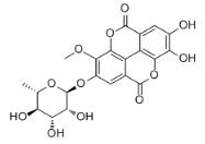 3-O-Methylellagic acid 4-O-rhamnoside