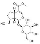 Adoxoside标准品