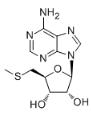 5-脱氧-5-甲硫腺苷标准品