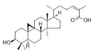 Schisandrolic acid标准品