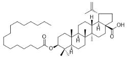 白桦脂酸棕榈酸酯标准品