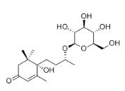 Blumenol B 9-O-glucoside标准品