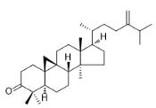 24-亚甲基环木菠萝烷酮标准品