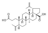3,4-Secolupa-4(23),20(29)-diene-3,28-dioic acid标准品