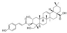 3-O-香豆酰阿江榄仁酸标准品