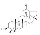 29-Nor-20-oxolupeol标准品